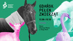 Plakat wystawy Gdańsk Pełen Zwierząt. Na zielonym tle znajdują się kolorowe wizerunki zwierząt: koń na środku, koza po lewej, łabędź po prawej i niedźwiedź w tle.