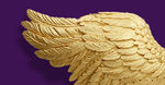 Grafika. Na fioletowym tle fragment złotego skrzydła.