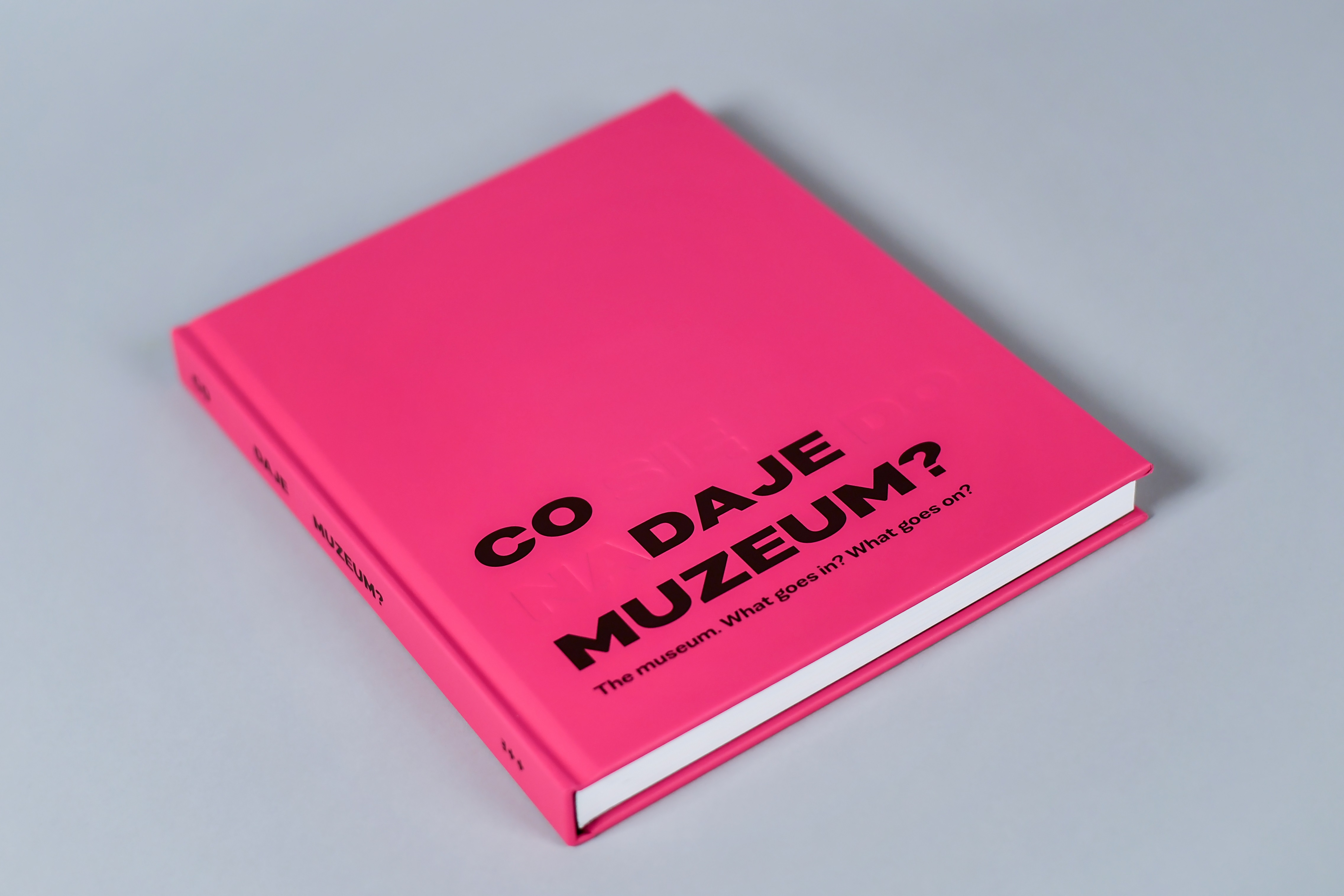 Image. Catalogue of the temporary exhibition "The Museum. What goes in. What goes out?"