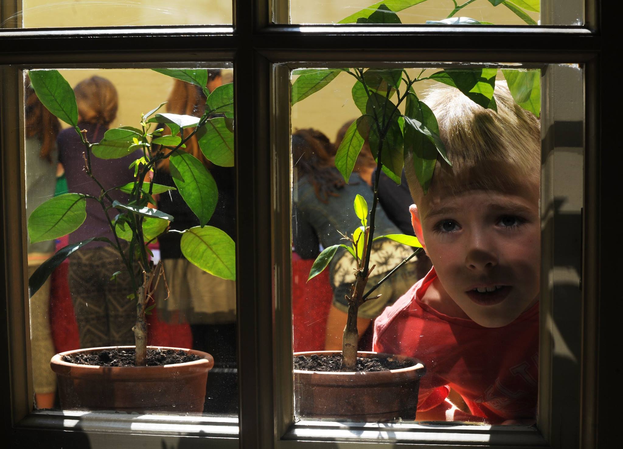 Zdjęcie okna, robione od zewnątrz. Chłopiec patrzy przez okno. Na parapecie stoją dwie doniczki z roślinami. W środku za chłopcem widać grupę dzieci.